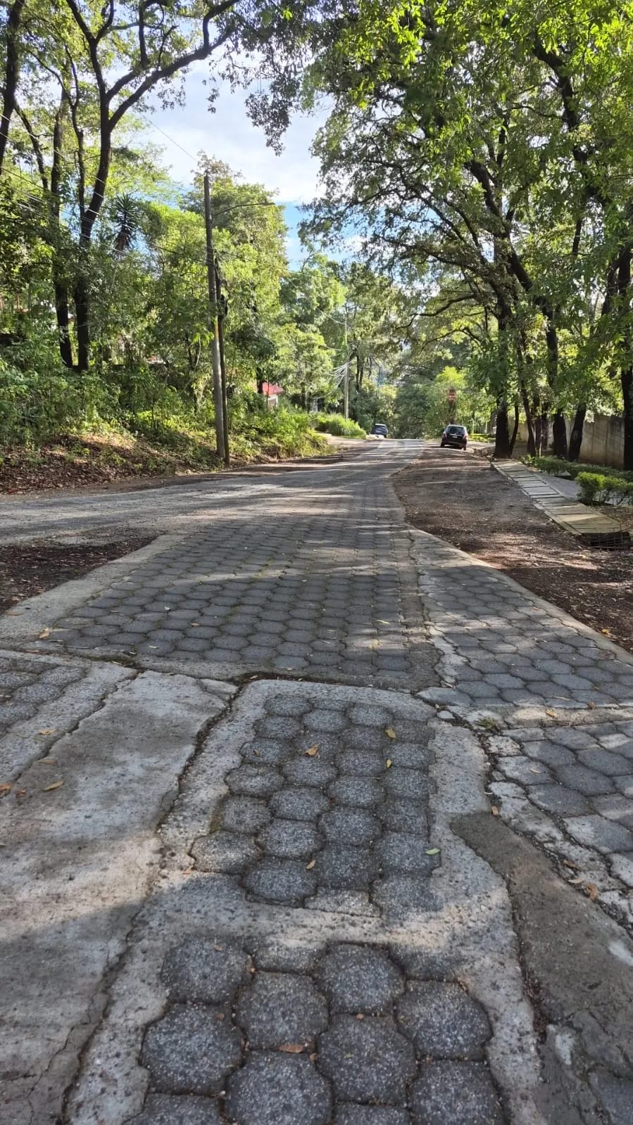 Terreno en Venta, Labor de Castilla — foto 3 de 6
