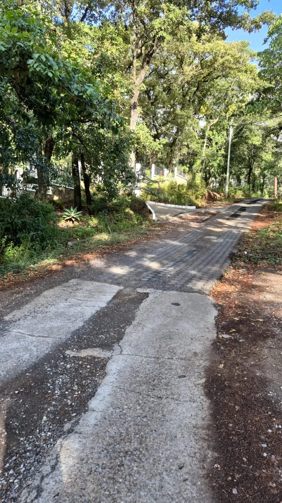 Terreno en Venta, Labor de Castilla — foto 4 de 6