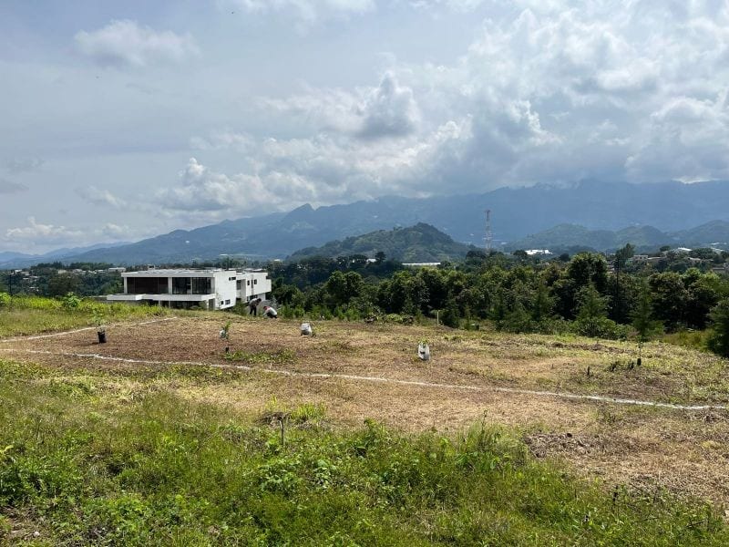 El Pulté Golf — foto 2 de 7